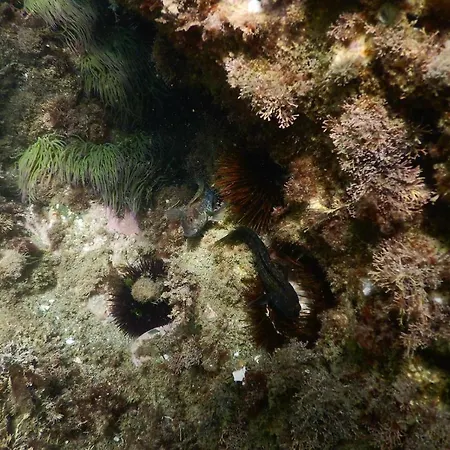 Apartamento Family Friendly Patio And Poolview Torremolinos