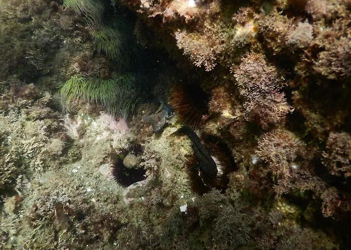 Apartment Family Friendly Patio And Poolview Torremolinos