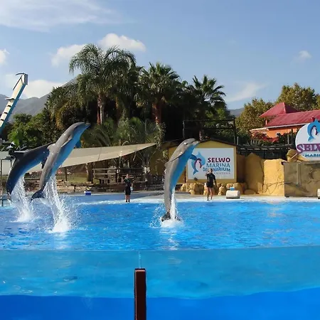 Family Friendly Patio And Poolview Torremolinos