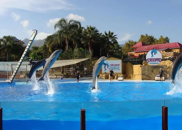 Family Friendly Patio And Poolview Torremolinos